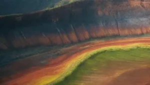 Influencia de la topografía en la distribución de especies