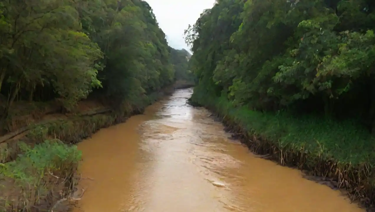 Los desafíos que enfrentan los ríos de Ríos como elemento clave en la educación ambiental