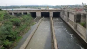 Obras de ingeniería en ríos: presas y diques