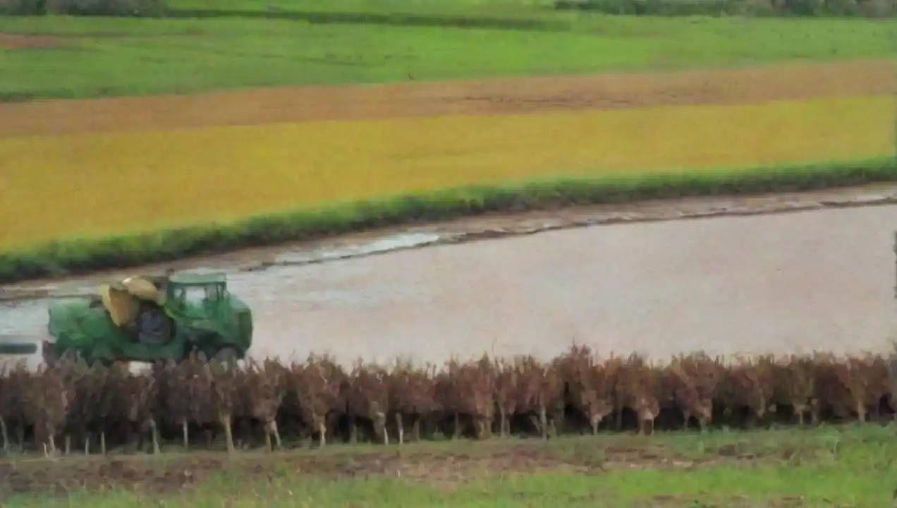 La Importancia de los Ríos en la Agricultura y la Economía de Ríos como fuente de vida: el papel de las comunidades