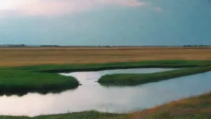 Las llanuras y la importancia del agua: su relevancia geográfica