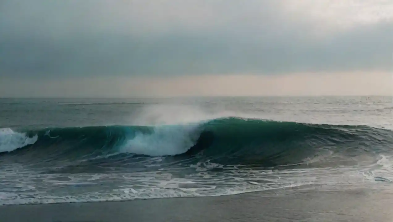 Ondas y mareas: fenómenos naturales del océano