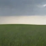 Praderas: ecosistemas clave para la agricultura y vida silvestre