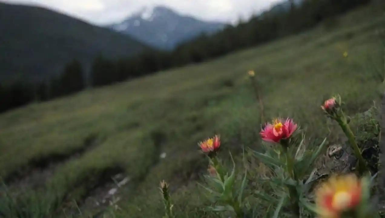 La biodiversidad en flora del Himalaya: retos y oportunidades