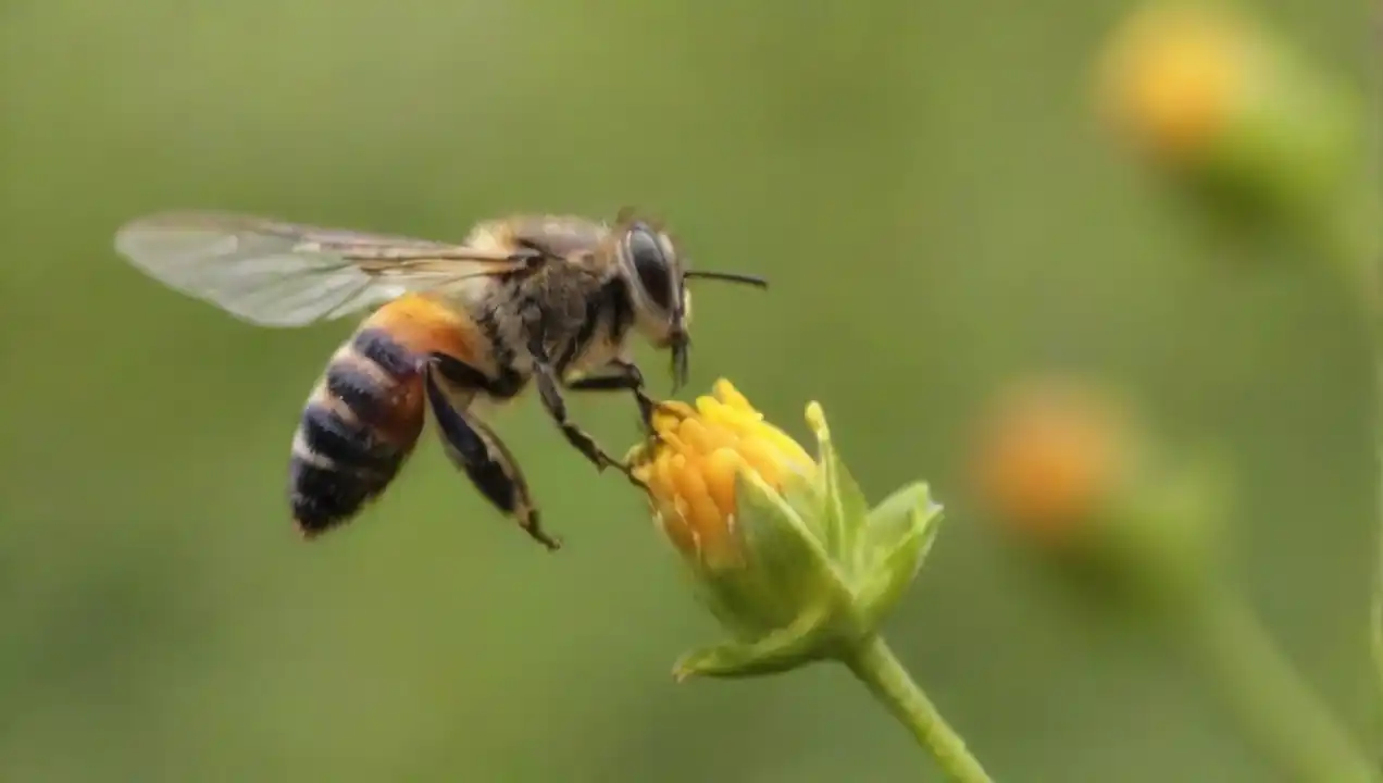 La relación entre vegetación y polinización en ecosistemas