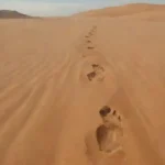Huellas de la historia en los desiertos modernos