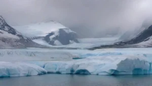 Glaciares y su Estudio Ecológico Detallado