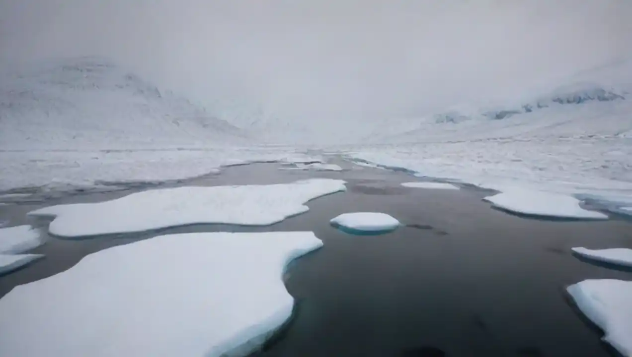 Desafíos del clima extremo de La vegetación en regiones polares: desafíos y survival