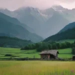 Turismo responsable en climas sensibles
