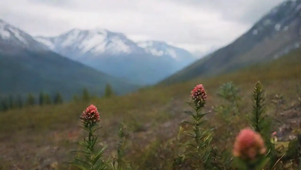 Adaptaciones de la flora y fauna a condiciones extremas de El clima extremo y la vida en las montañas