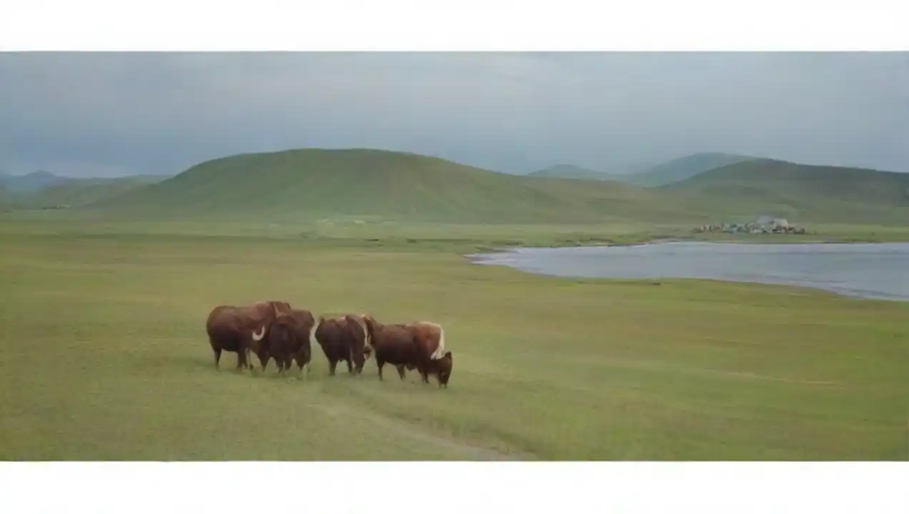 El misterio de Mongolia de Atractivos turísticos en lugares remotos y menos visitados