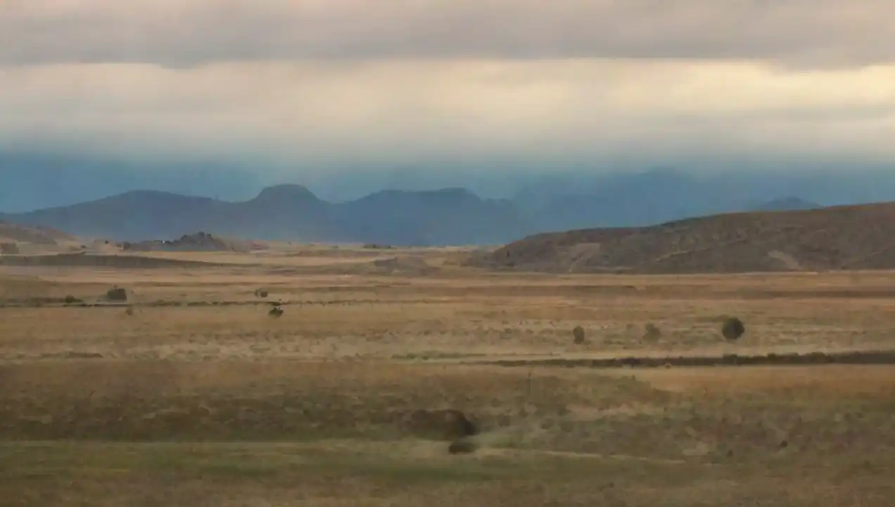 Llanuras: vastas extensiones de terreno de Clasificación de relieves terrestres: montañas, llanuras, etc
